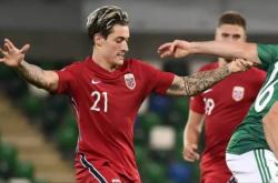 开云体育官方网站-捷克阻击荷兰晋级欧洲杯四强