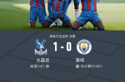 开云体育中国-包含水晶宫客场击败纽卡斯尔，保住中游位置的词条