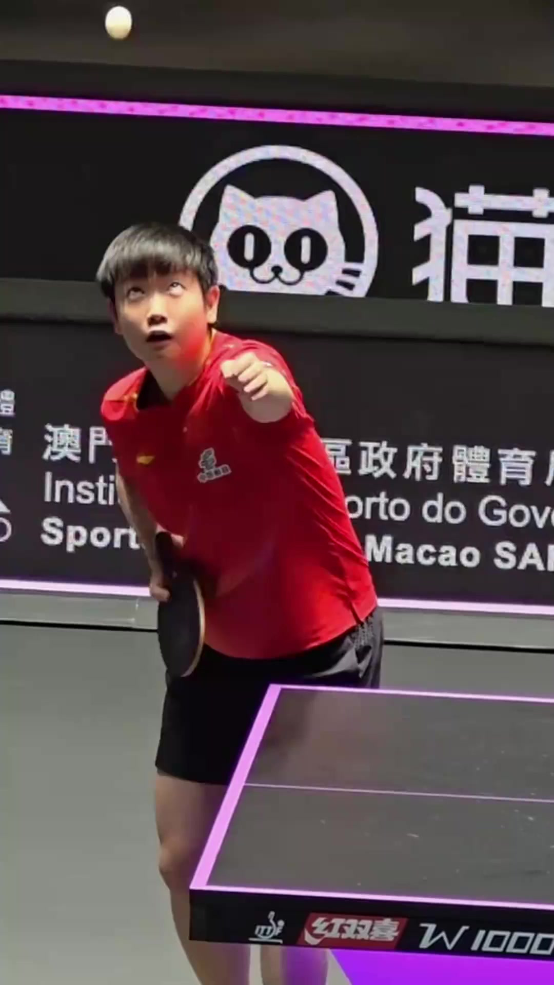 包含泰国羽毛球队绝杀韩国羽毛球队，马琳统治全场的词条