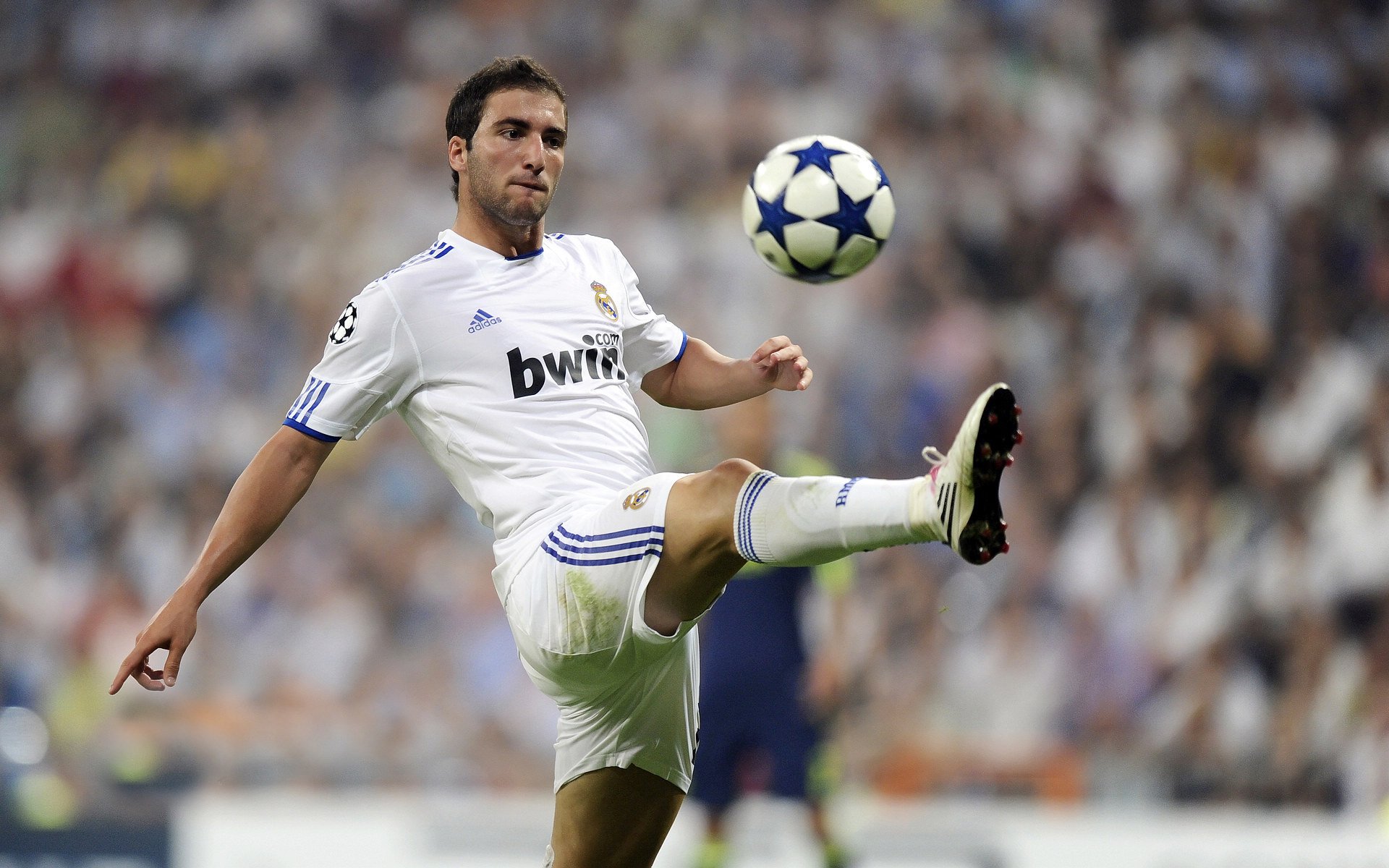 赛道与球场，当F1争冠焦点遇上灰熊制霸浙江