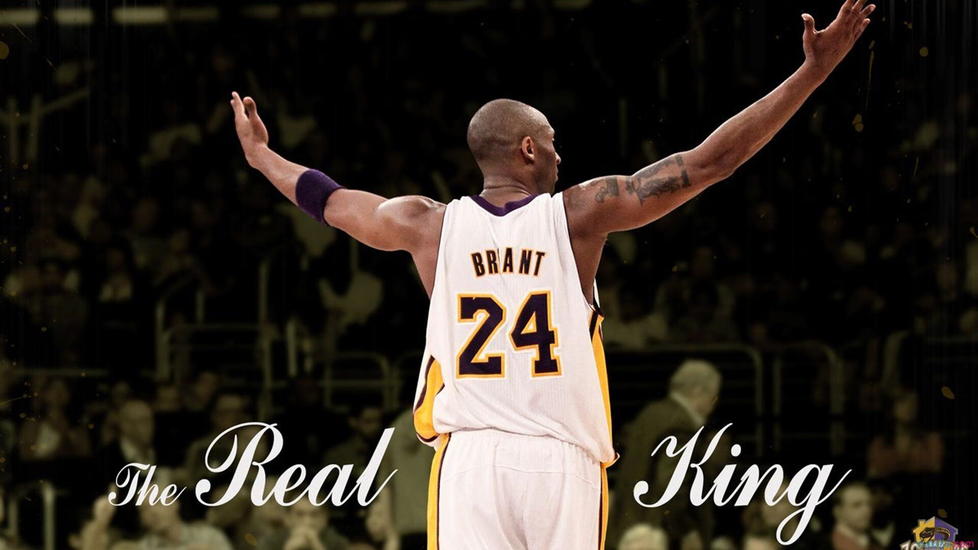 绝境之光,开拓者生死战力克奇才,诠释NBA总决赛的永恒魅力